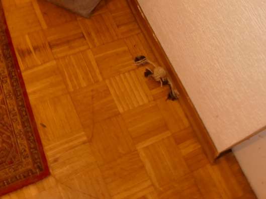 Foto 12 von 22 — Doppelhaushälfte