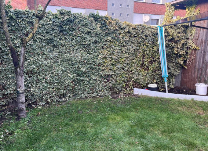 Foto 8 von 22 — Zweifamilienhaus, Kfz-Stellplatz, Garage, Doppelhaushälfte, Carport nicht legitimiert