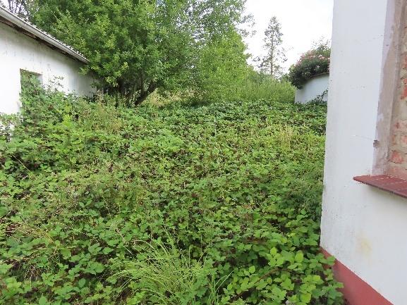 Foto 14 von 36 — Garage, Einfamilienhaus