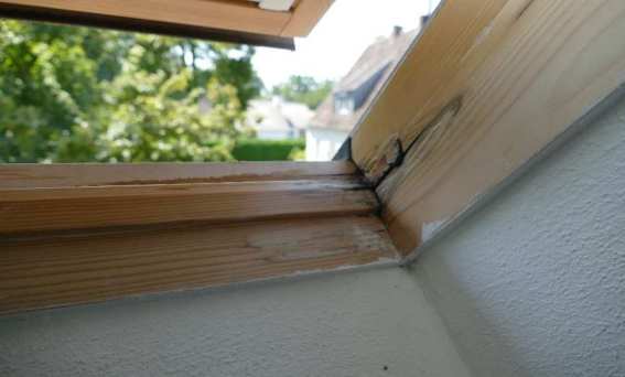 Foto 32 von 58 — unbebautes Grundstück, Einfamilienhaus