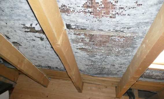 Foto 33 von 58 — unbebautes Grundstück, Einfamilienhaus