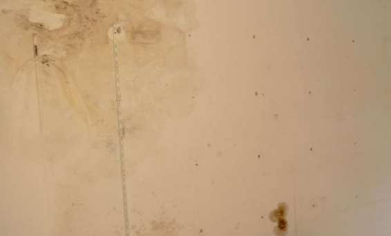 Foto 40 von 58 — unbebautes Grundstück, Einfamilienhaus