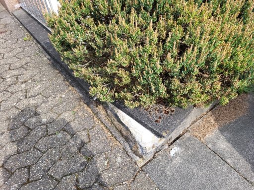 Foto 13 von 15 — Zweifamilienhaus, Einfamilienhaus