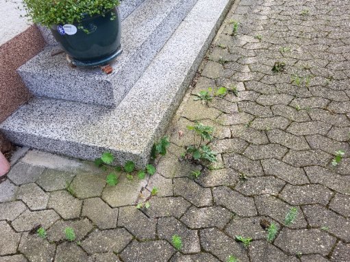 Foto 15 von 15 — Zweifamilienhaus, Einfamilienhaus