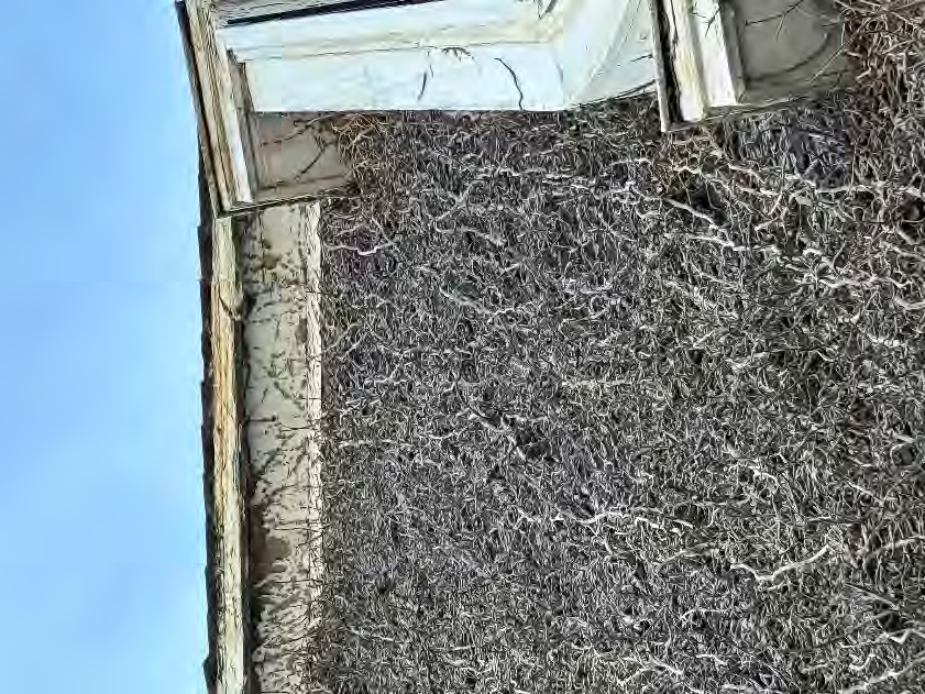 Foto 12 von 32 — Mehrfamilienhaus, Verkehrsfläche