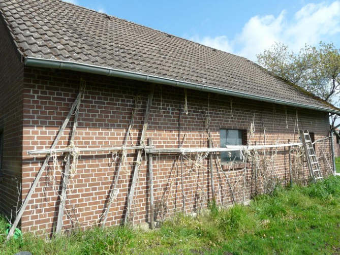 Foto 16 von 19 — Zweifamilienhaus, land- und forstwirtschaftlich genutztes Grundstück, Gewerbeeinheit (z.B. Laden, Büro)