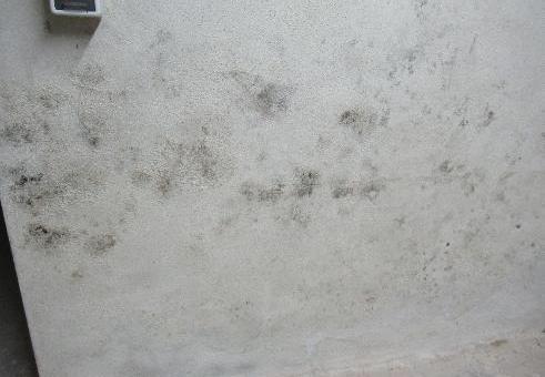 Foto 16 von 37 — Einfamilienhaus, Kfz-Stellplatz (Carport)