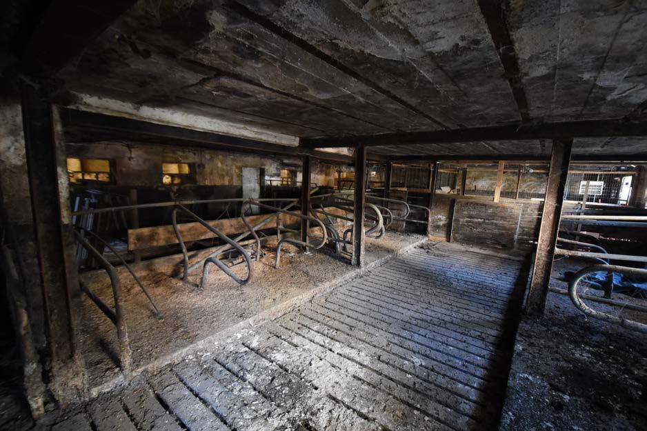 Foto 42 von 44 — land- und forstwirtschaftlich genutztes Grundstück, landwirtschaftliche Hofstelle mit Grünland, 3 Waldflächen