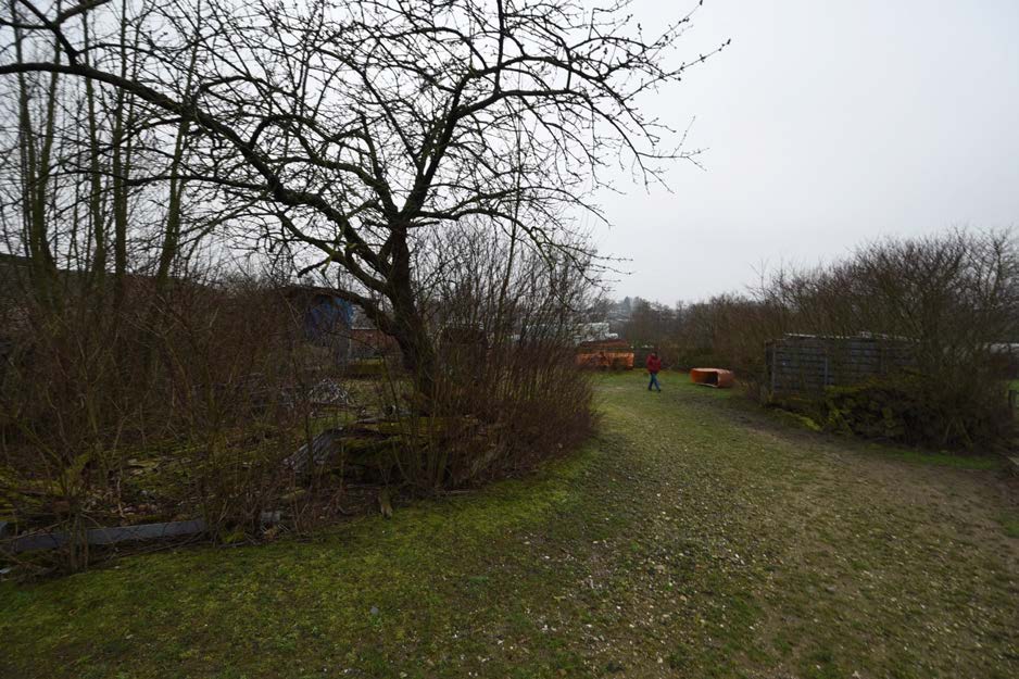 Foto 24 von 44 — land- und forstwirtschaftlich genutztes Grundstück, landwirtschaftliche Hofstelle mit Grünland, 3 Waldflächen