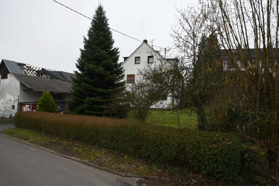 Foto 5 von 44 — land- und forstwirtschaftlich genutztes Grundstück, landwirtschaftliche Hofstelle mit Grünland, 3 Waldflächen