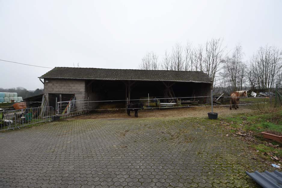 Foto 17 von 44 — land- und forstwirtschaftlich genutztes Grundstück, landwirtschaftliche Hofstelle mit Grünland, 3 Waldflächen