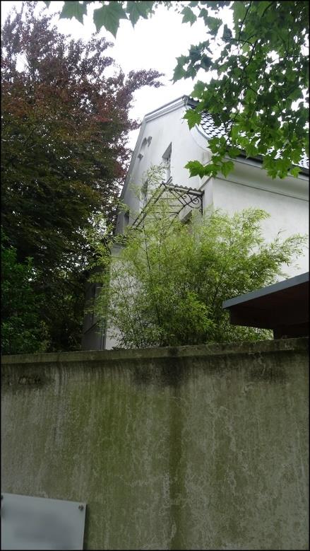 Foto 20 von 20 — Zweifamilienhaus, freistehend, Gartenland