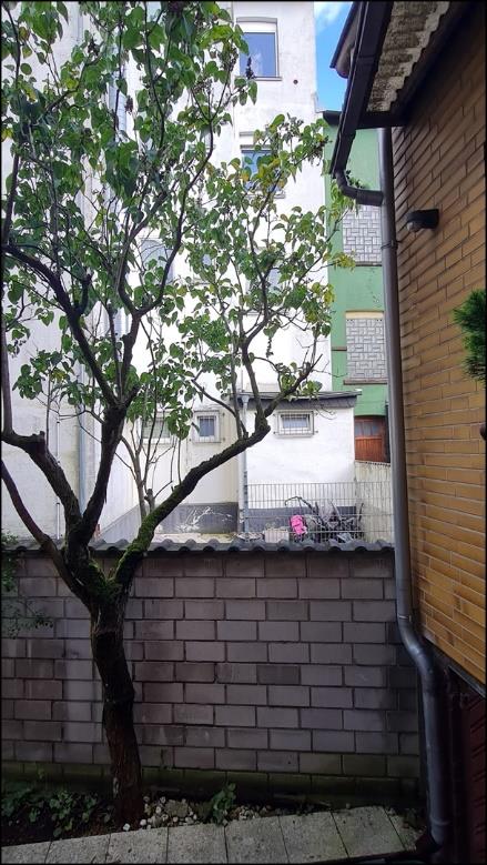 Foto 56 von 74 — Wohn-/Geschäftshaus