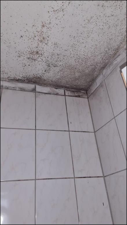 Foto 62 von 74 — Wohn-/Geschäftshaus