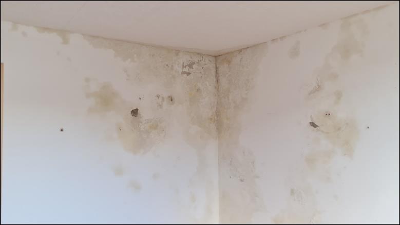 Foto 43 von 74 — Wohn-/Geschäftshaus