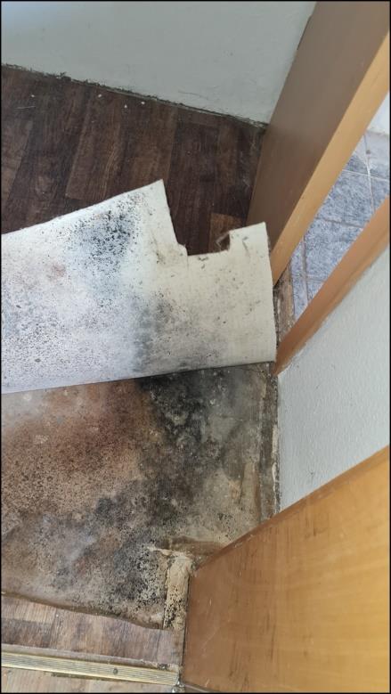 Foto 66 von 74 — Wohn-/Geschäftshaus
