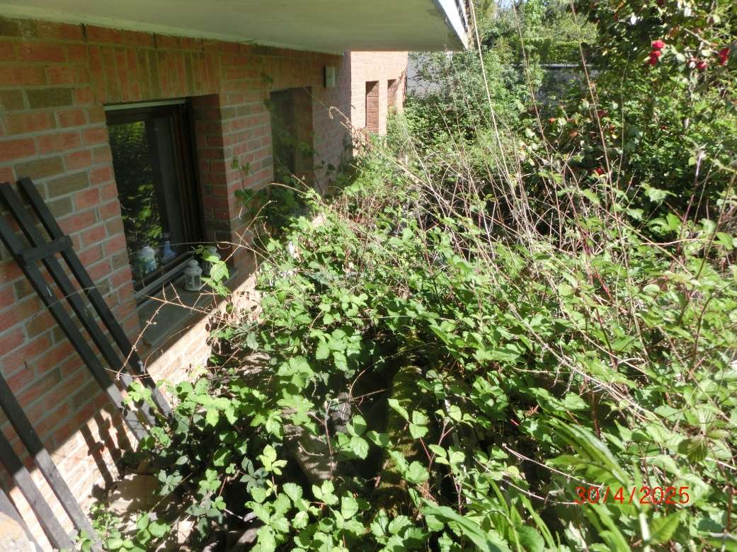 Foto 7 von 14 — Einfamilienhaus