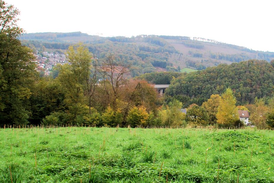 Foto 14 von 14 — unbebautes Grundstück, Einfamilienhaus