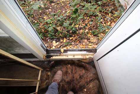 Foto 56 von 92 — Einfamilienhaus, Pkw-Garage, Scheune, Landwirtschaftsflächen