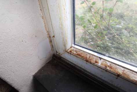 Foto 41 von 92 — Einfamilienhaus, Pkw-Garage, Scheune, Landwirtschaftsflächen