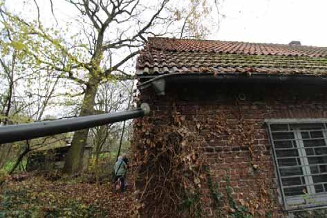 Foto 78 von 92 — Einfamilienhaus, Pkw-Garage, Scheune, Landwirtschaftsflächen