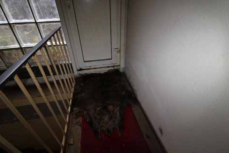 Foto 55 von 92 — Einfamilienhaus, Pkw-Garage, Scheune, Landwirtschaftsflächen