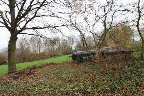 Foto 79 von 92 — Einfamilienhaus, Pkw-Garage, Scheune, Landwirtschaftsflächen