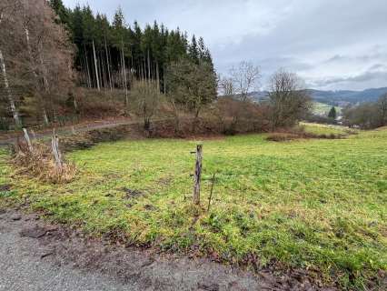 Foto 3 von 7 — land- und forstwirtschaftlich genutztes Grundstück