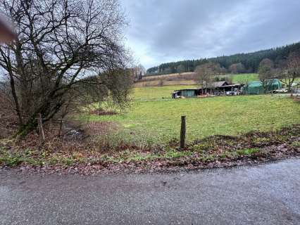 Foto 4 von 7 — land- und forstwirtschaftlich genutztes Grundstück