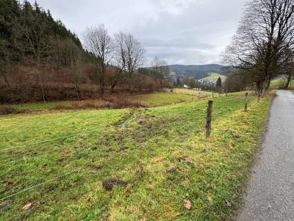 Foto 5 von 7 — land- und forstwirtschaftlich genutztes Grundstück