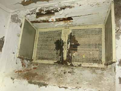 Foto 16 von 26 — gewerblich genutztes Grundstück, Zweifamilienhaus, Kfz-Stellplatz, Gewerbeeinheit (z.B. Laden, Büro), Garage, Zweifamilienhaus und gewerblich nutzbare Nebengebäude