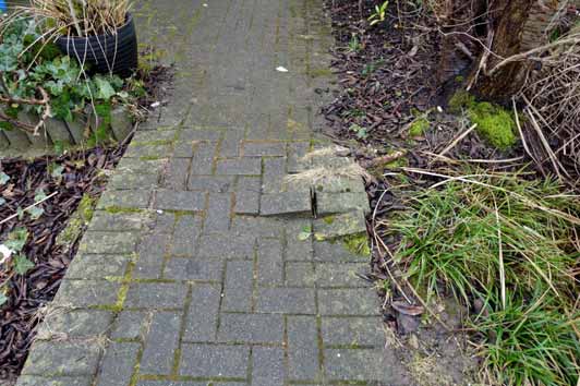 Foto 15 von 17 — Reihenhaus