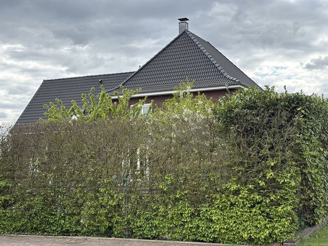 Foto 16 von 16 — Zweifamilienhaus, unbebautes Grundstück, Nebengebäude