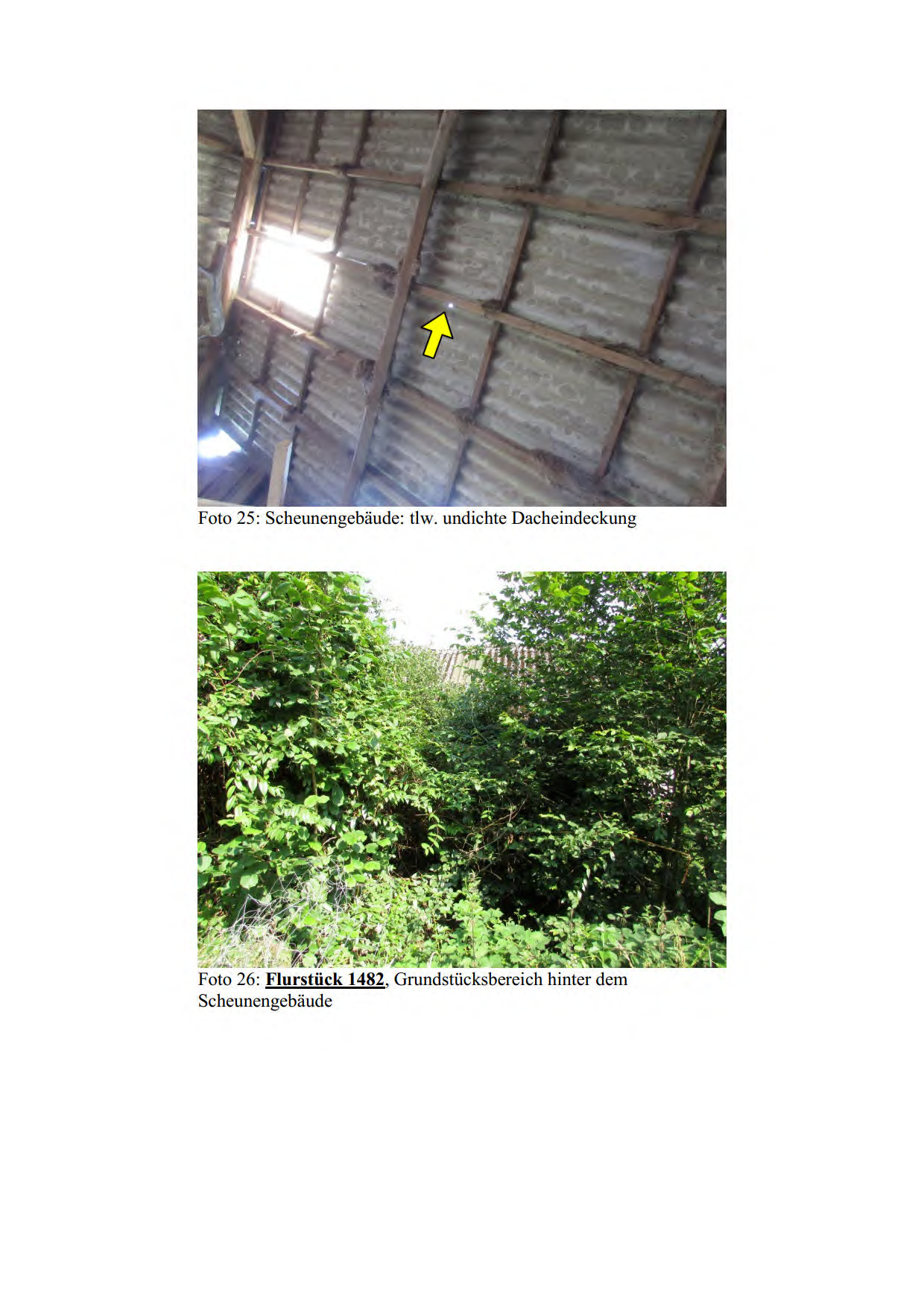 Foto 18 von 18 — land- und forstwirtschaftlich genutztes Grundstück, gewerblich genutztes Grundstück, Garage, Einfamilienhaus
