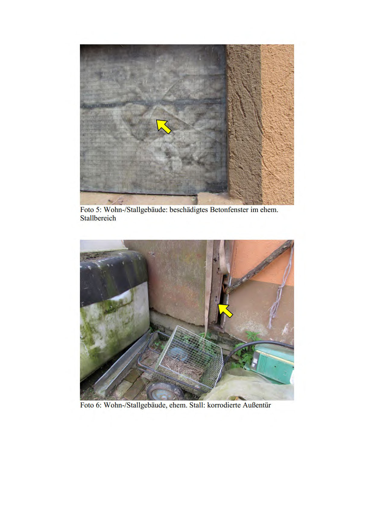 Foto 8 von 18 — land- und forstwirtschaftlich genutztes Grundstück, gewerblich genutztes Grundstück, Garage, Einfamilienhaus