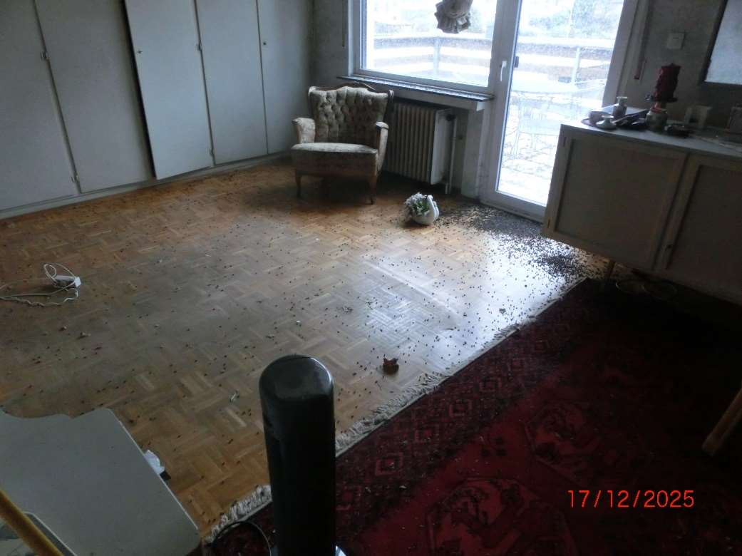 Foto 7 von 12 — Einfamilienhaus