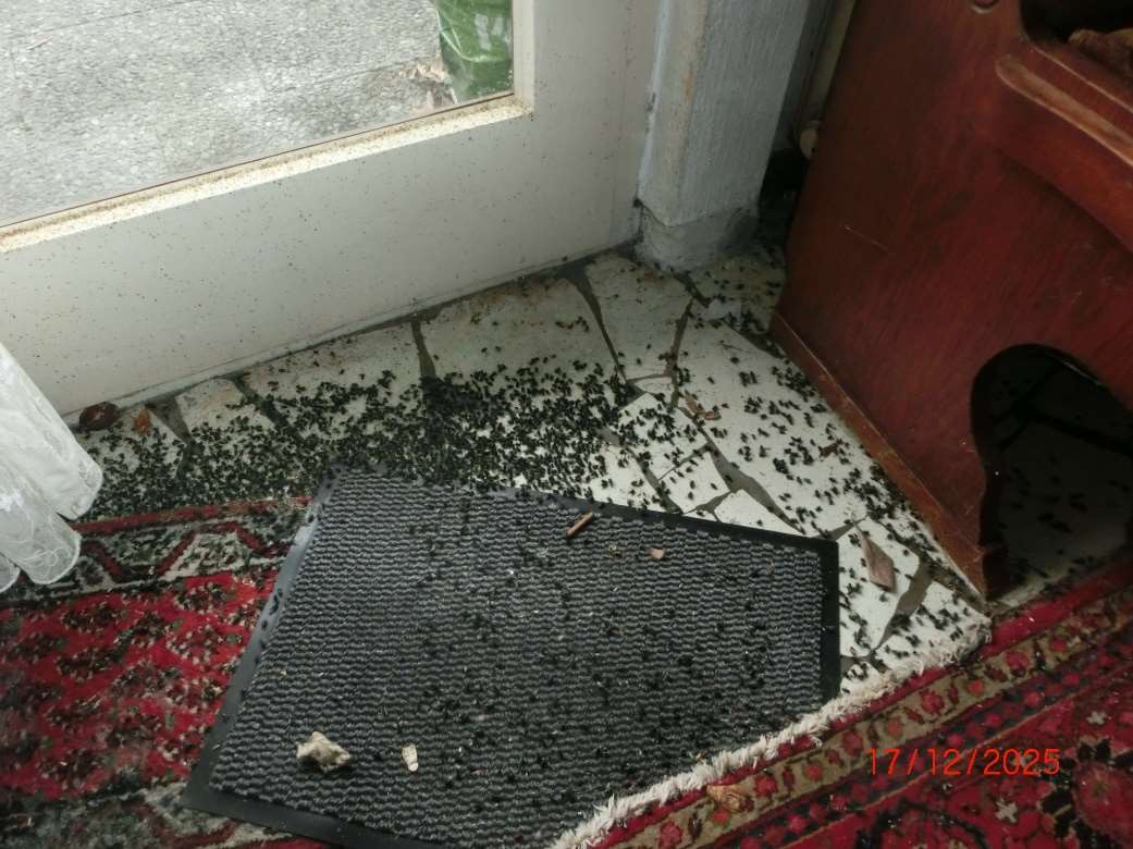 Foto 6 von 12 — Einfamilienhaus