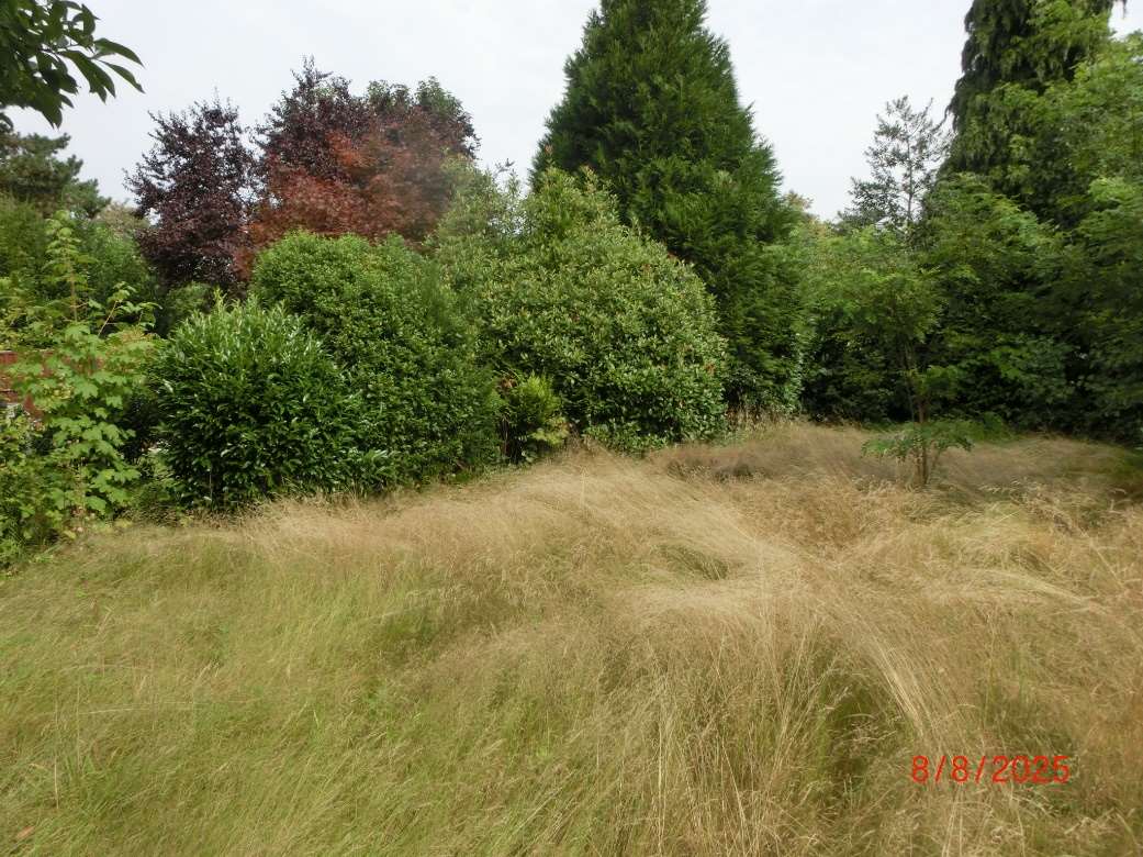 Foto 3 von 12 — Einfamilienhaus
