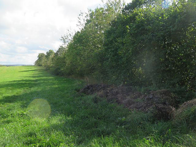 Foto 12 von 14 — unbebautes Grundstück