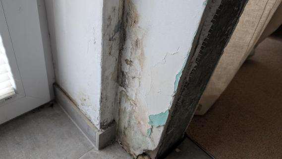 Foto 18 von 24 — Einfamilienhaus