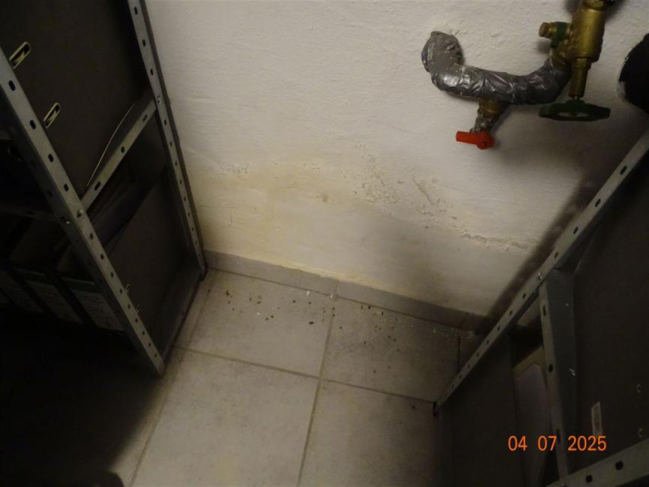 Foto 20 von 41 — unbebautes Grundstück, Baugrundstück, Zweifamilienhaus, sonstiges Teileigentum (z.B. Keller, Hobbyraum), Eigentumswohnung (3 bis 4 Zimmer), Zweifamilienhaus, sonstiges Teileigentum (z.B. Keller, Hobbyraum), Eigentumswohnung (ab 5 Zimmer)