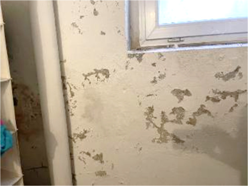 Foto 8 von 15 — Garage, Einfamilienhaus, Einfamilienhaus mit Einliegerwohnung und Schwimmbadanbau