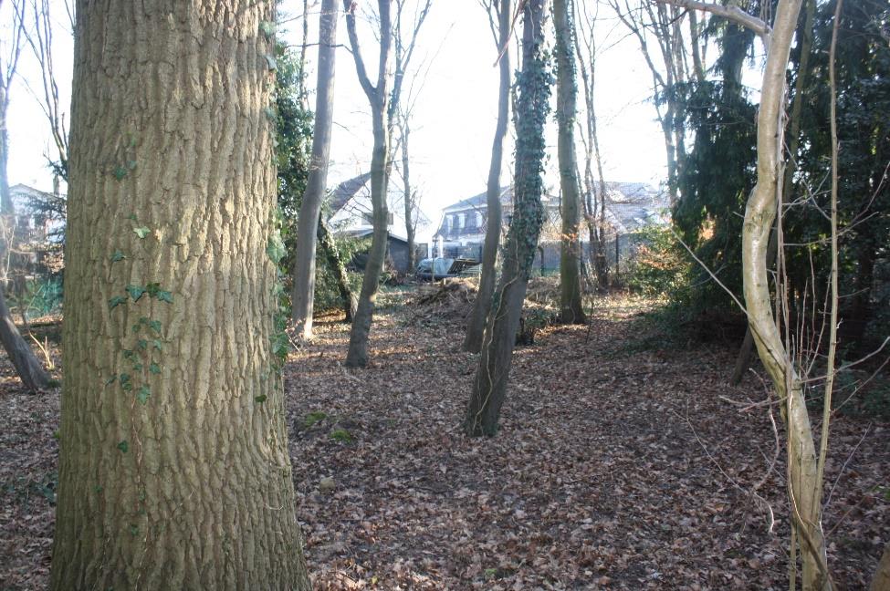 Foto 6 von 10 — Garage, Einfamilienhaus, Doppelhaushälfte, Einfamilienhaus (DHH) mit übertiefer Garage und Waldfläche