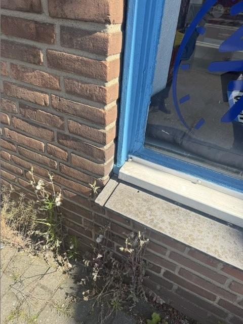 Foto 11 von 24 — Wohn-/Geschäftshaus