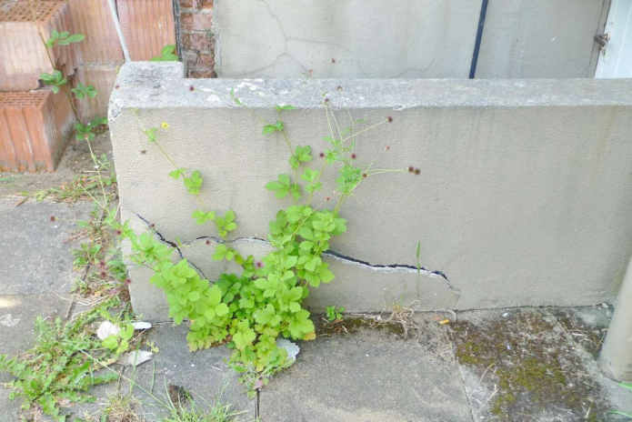 Foto 22 von 45 — Einfamilienhaus
