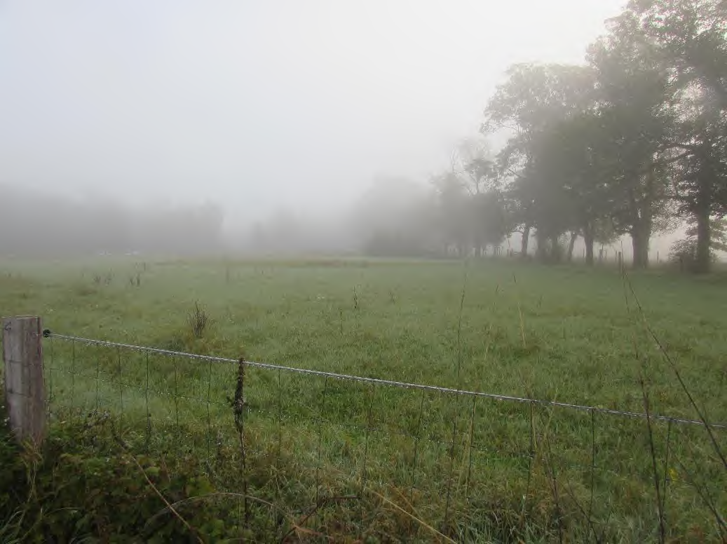 Foto 1 von 7 — land- und forstwirtschaftlich genutztes Grundstück
