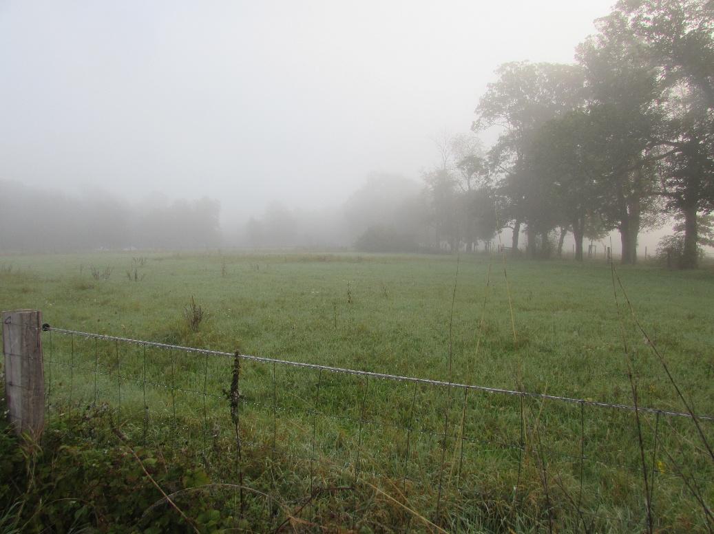 Foto 6 von 7 — land- und forstwirtschaftlich genutztes Grundstück
