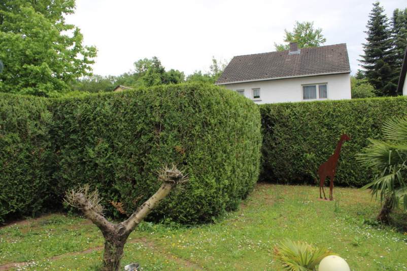 Foto 16 von 16 — unbebautes Grundstück