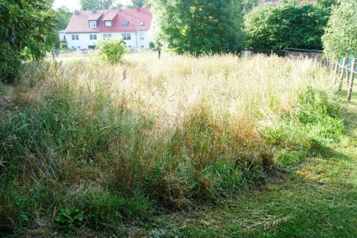 Foto 14 von 16 — unbebautes Grundstück