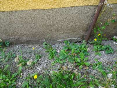 Foto 6 von 20 — Einfamilienhaus